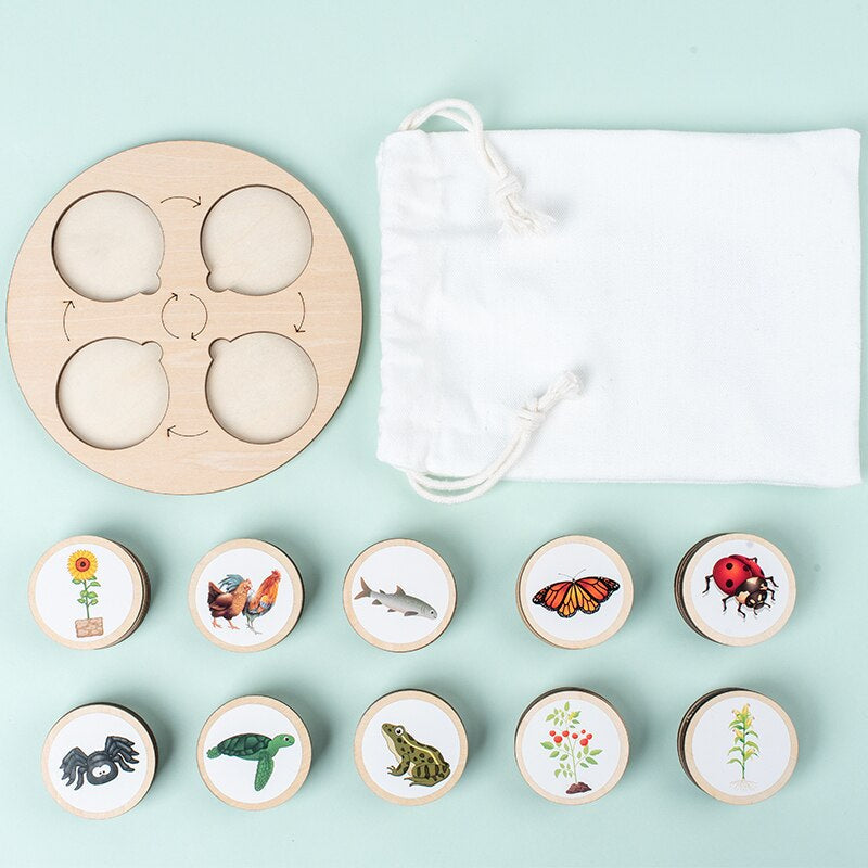 Wooden Life Cycle Puzzle – Educational Puzzle for Kids