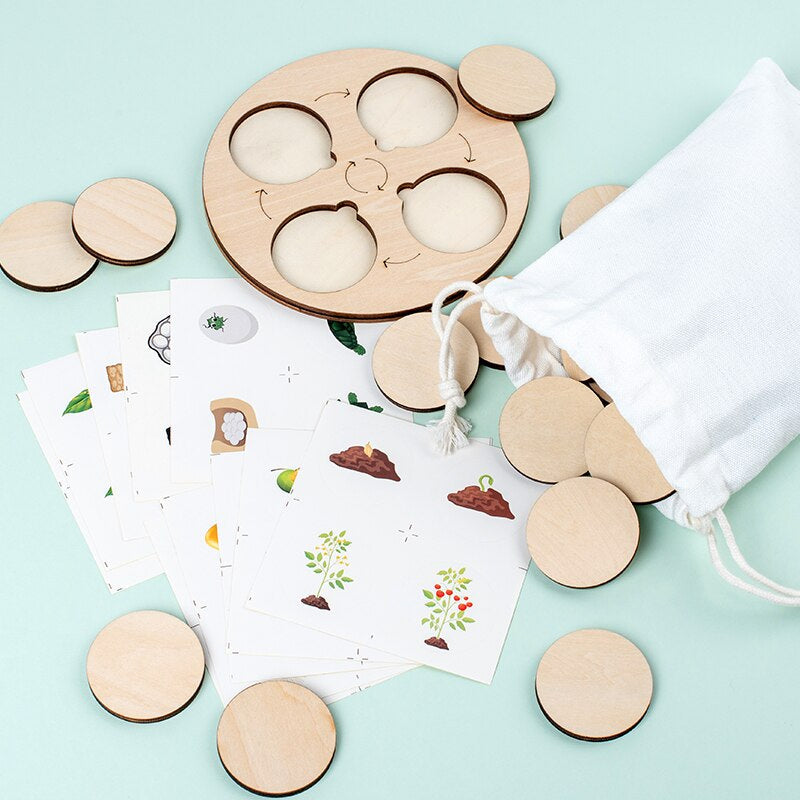 Wooden Life Cycle Puzzle – Educational Puzzle for Kids