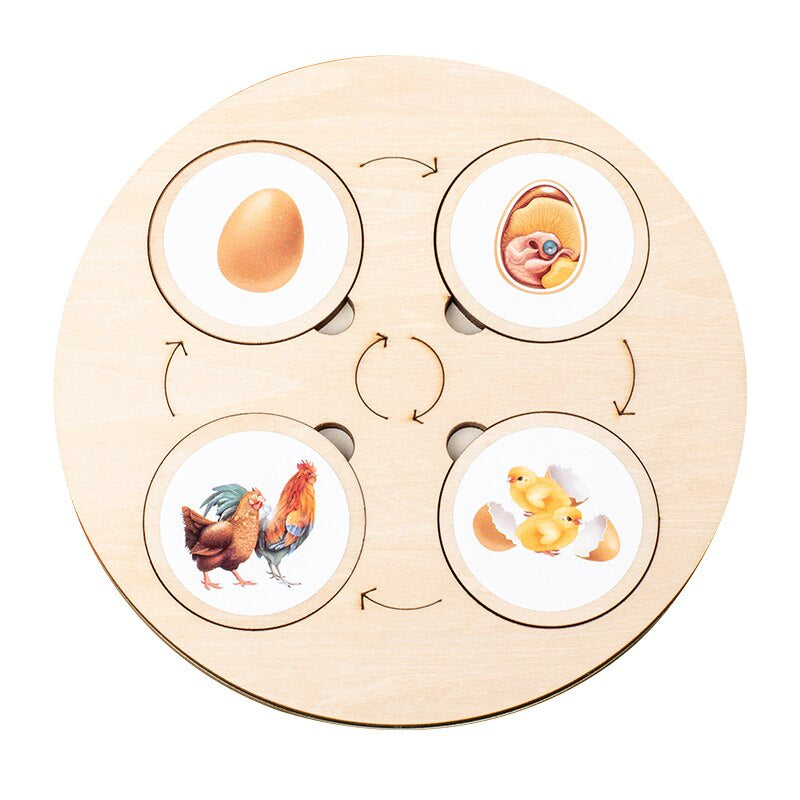 Wooden Life Cycle Puzzle – Educational Puzzle for Kids