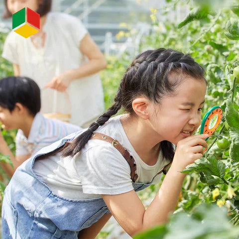 Insektssamlingsset för barn – pedagogisk leksak för naturutforskning och äventyr